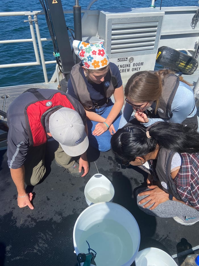 Zooplankton Imaging Aboard Research Vessels A FlowCam Visit to Bigelow