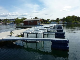 Replicate mesocosm experiments used to analyze the effects of elevated CO2 levels and Fe on phytoplankton populations, Raunefjord (60.39oN, 5.32oE) off of Bergen, Norway from June 5-27, 2012.