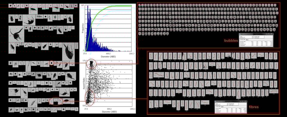 FlowCam Macro data continuous plankton recorder