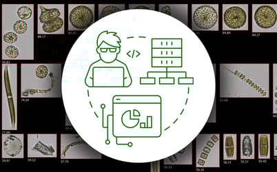 Icons showing data workflow over FlowCam plankton collage