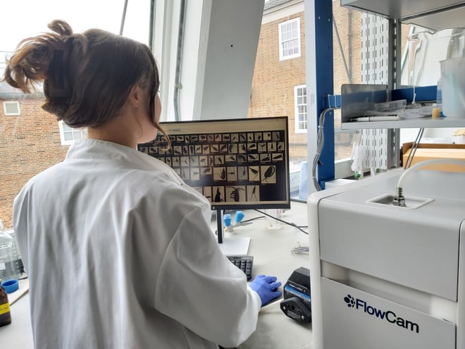 Woman using FlowCam Macro in lab with copepods on monitor