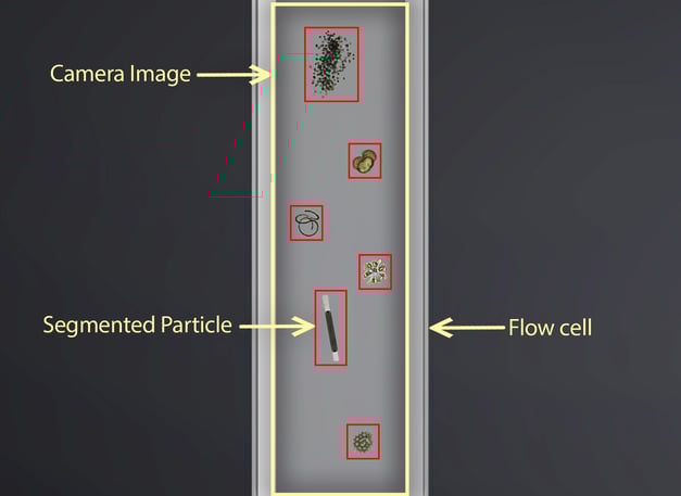 fim-flow-cell-diagram