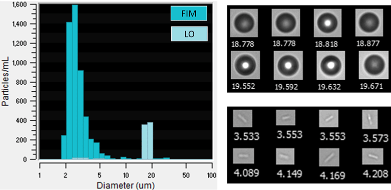 FlowCam LO data with images of PMMA beads and potential bacteria