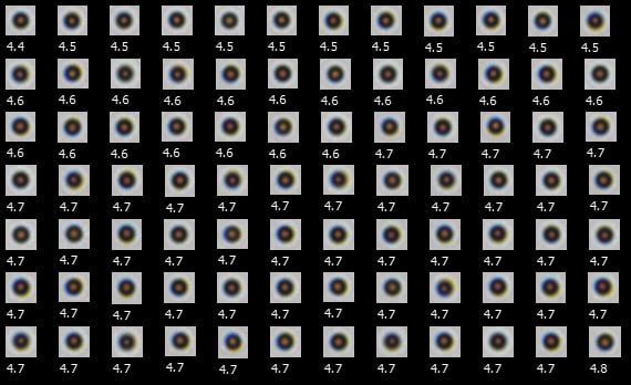A FlowCam collage of Dynabeads