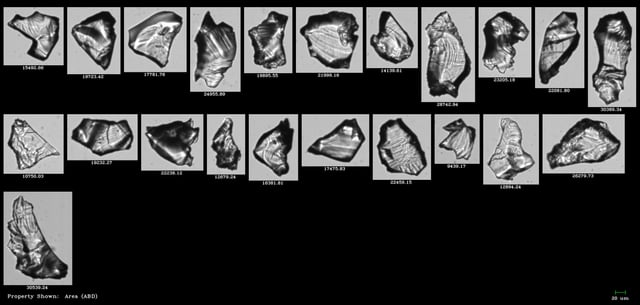 FlowCam collage of zeolite particles