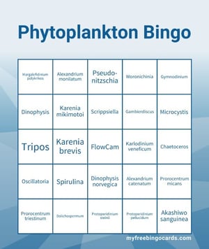 flowcam-phytoplankton-bingo