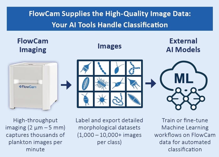 Infographic showing the FlowCam to machine learning workflow