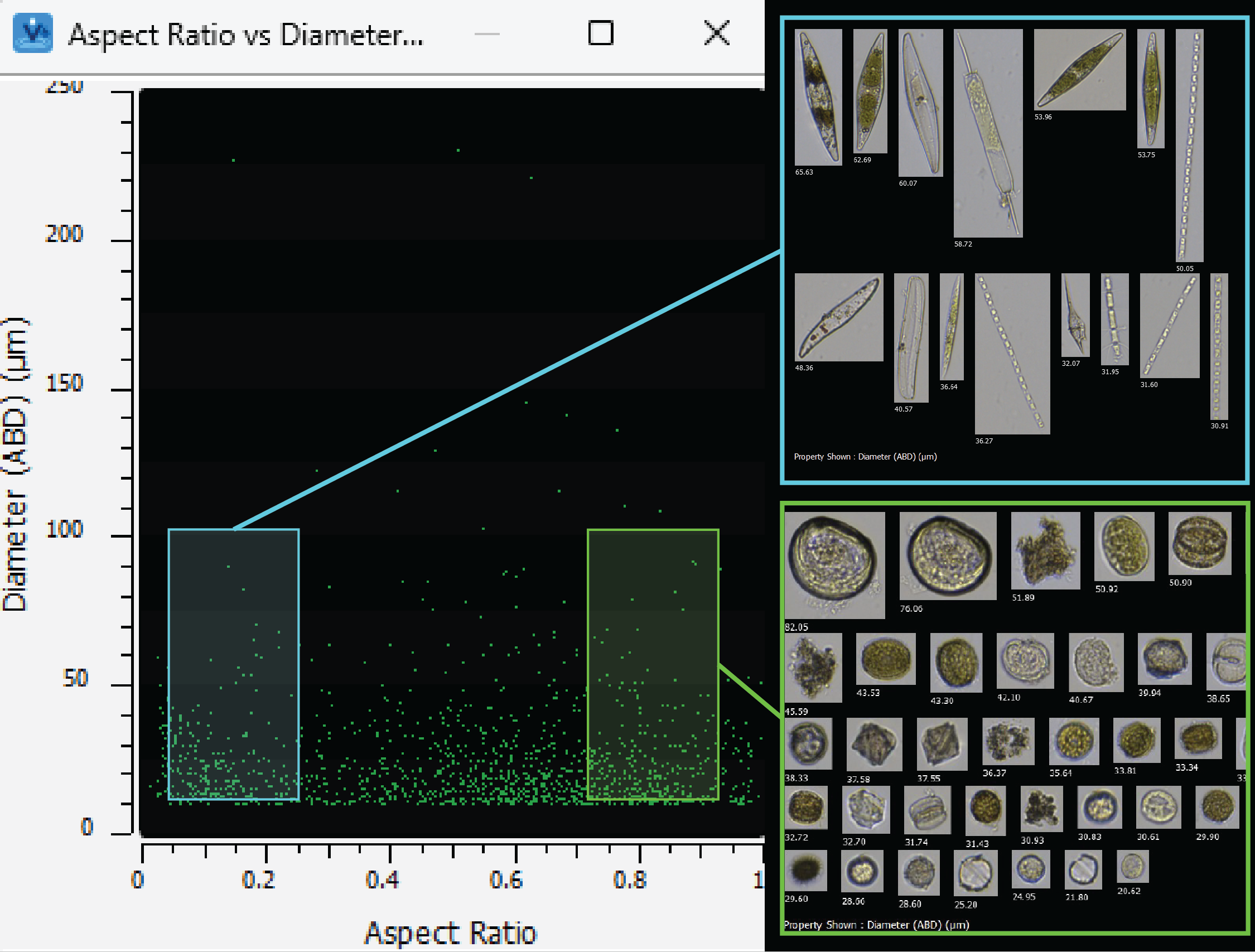 FlowCam data graph with associated images