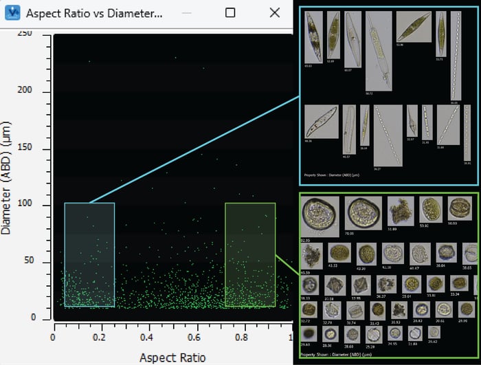 flowcam-plankton-data-images