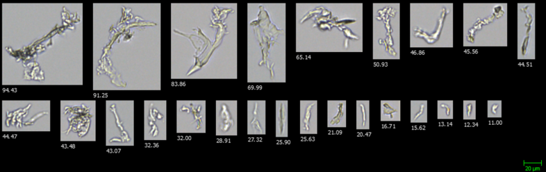 FlowCam collage of protein aggregates
