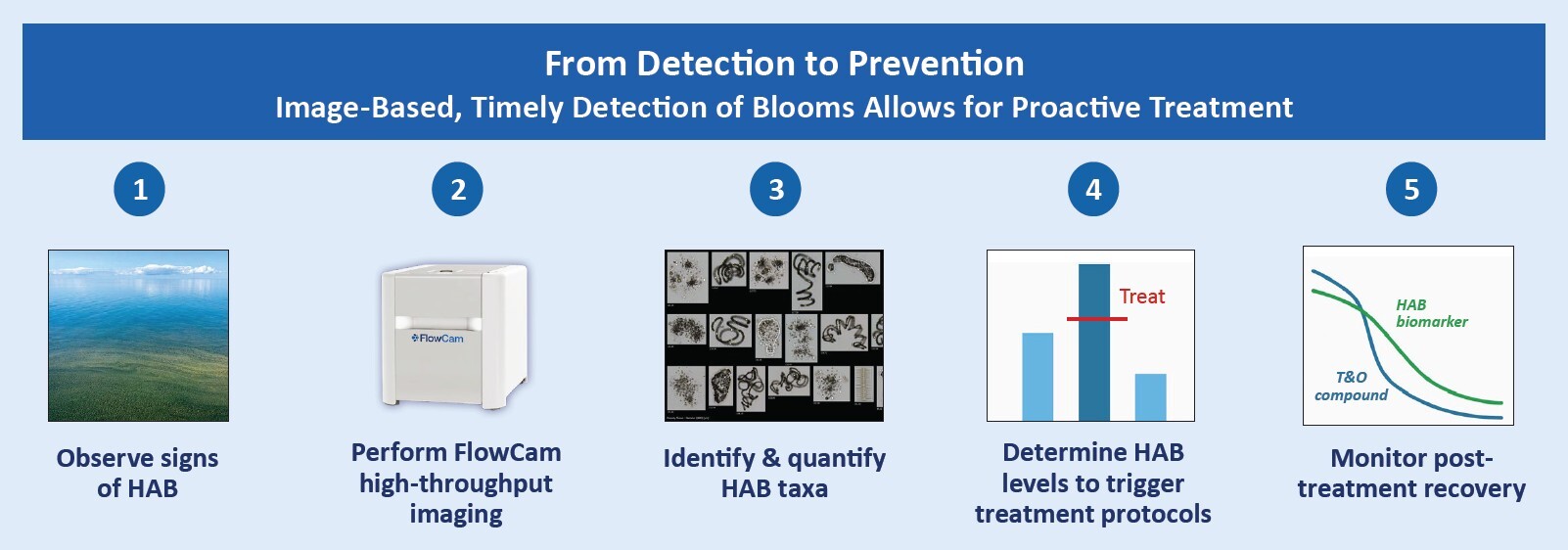 Infographic showing HAB monitoring workflow