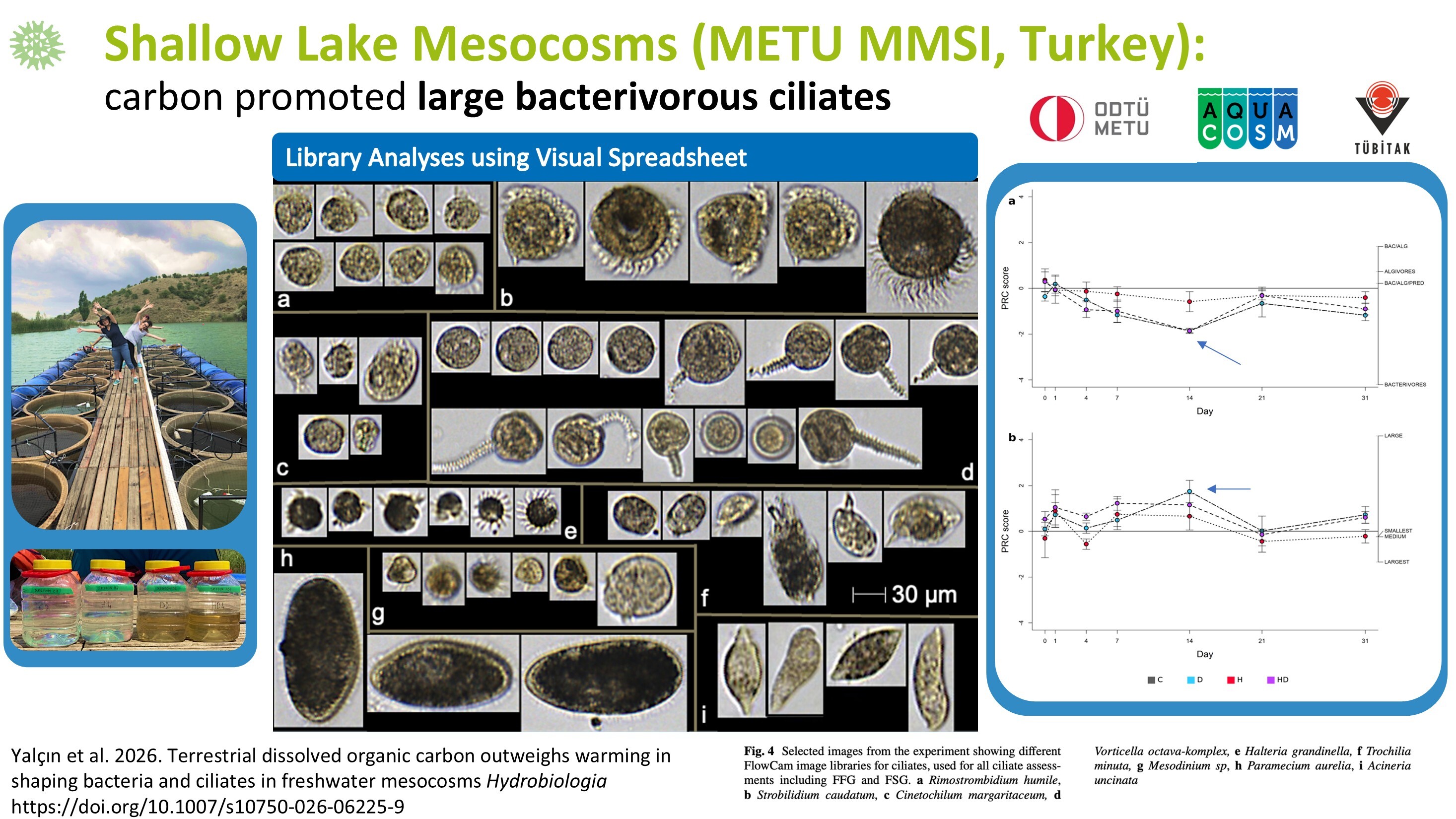 Webinar slide titled "Shallow Lake Mesocosms (METU MMSI, Turkey)