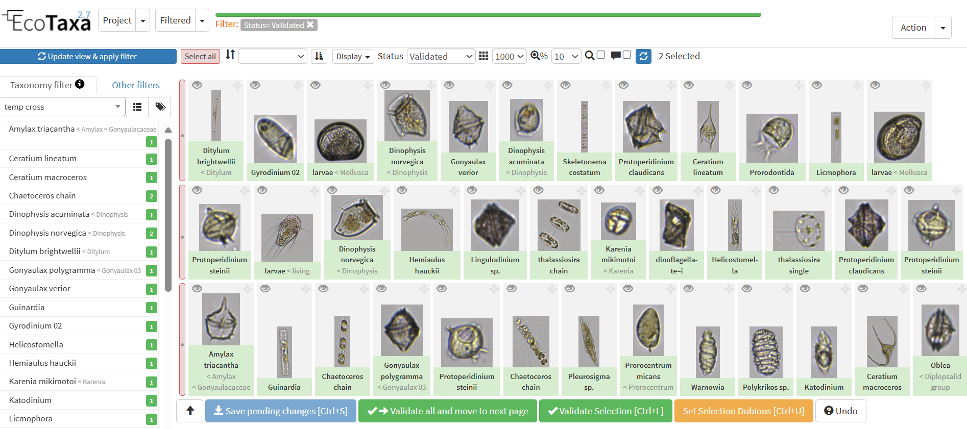 eco-taxa-flowcam-images-1