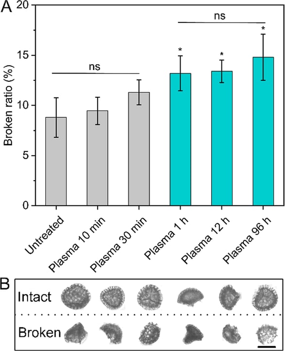 Histogram and images of sporopollenen