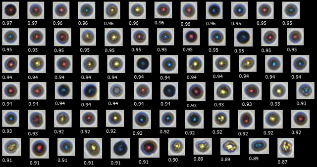 Color printer toner particles imaged by FlowCam 8400