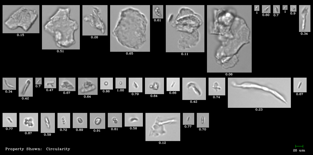 FlowCam collage protein aggregates