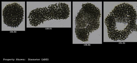 flowcam-cyano-10x-collage-microcystis