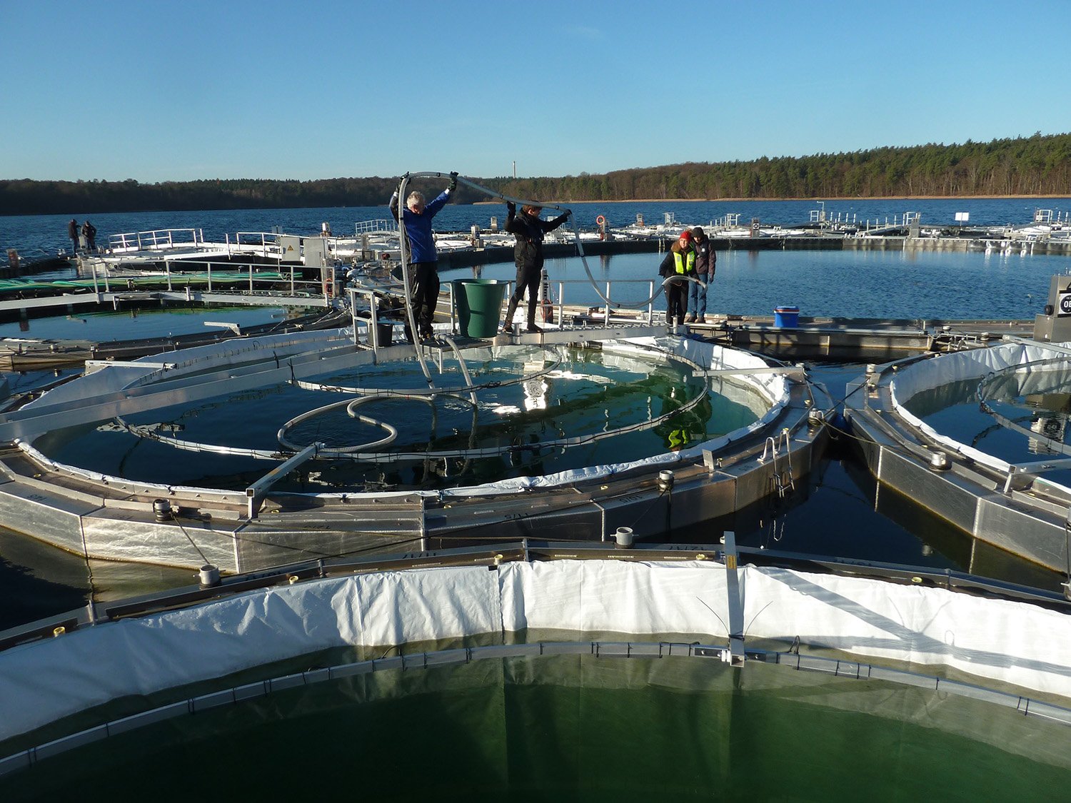 People working at mesocosm site