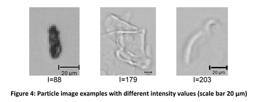 FlowCam images with different intensity values shown