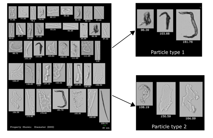 FlowCam collage showing transparent biotherapeutic particles