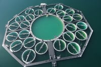 LakeLab mesocosm facility