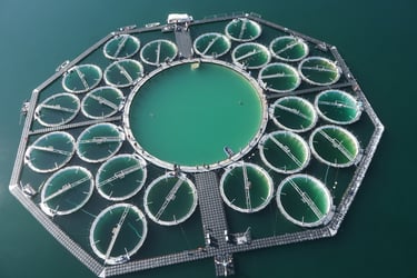 LakeLab mesocosm facility