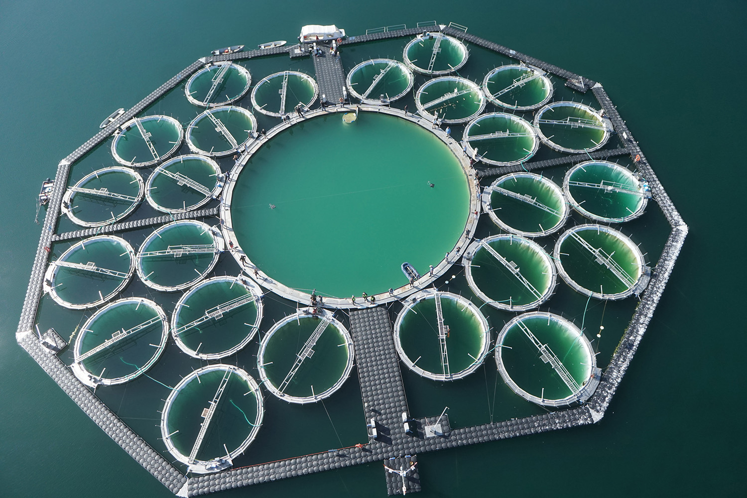 LakeLab Mesocosm facility