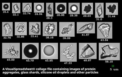FlowCam collage of biopharma particles including protein aggregates, silicone oil, and contaminants