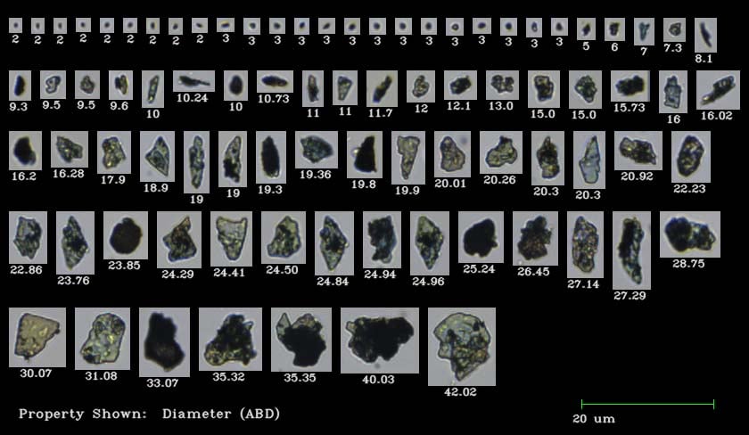 A FlowCam VisualSpreadsheet collage containing images of particles from a sample of blue eyeshadow