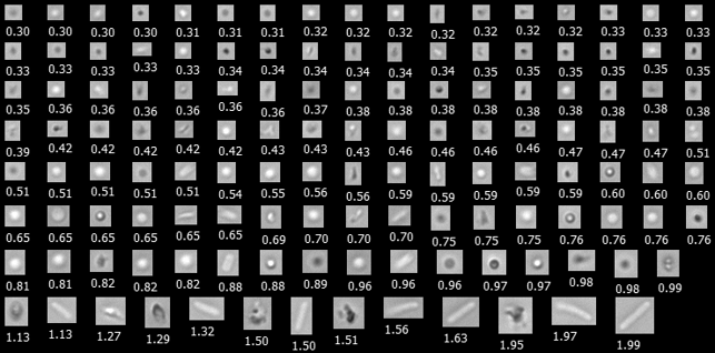 flowcam-nano-collage-mixture-of-protein-e-coli-silicone-oil-sucrose-aggregates-large