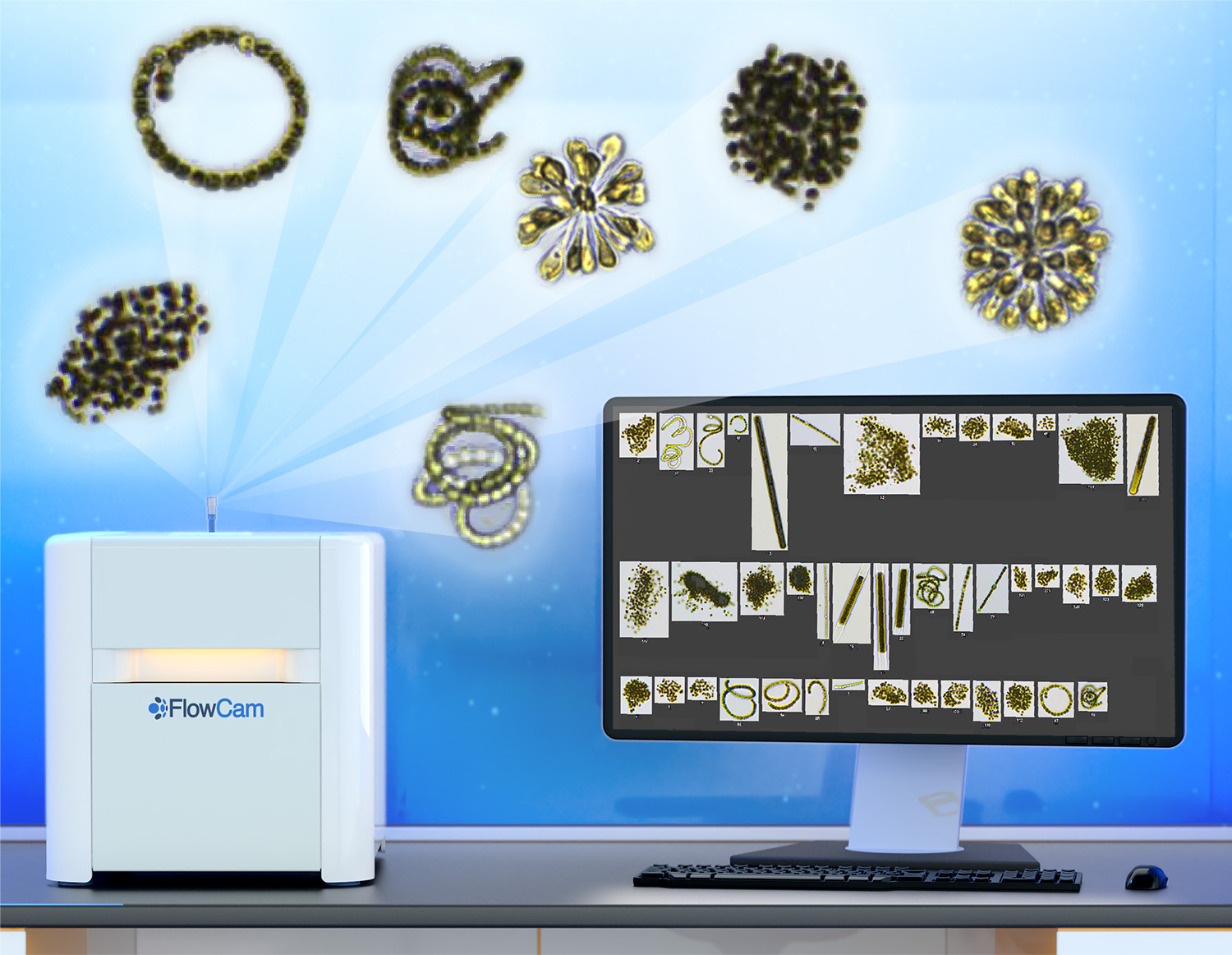 FlowCam Cyano instrument with monitor, showing enlarged images of cyanobacteria