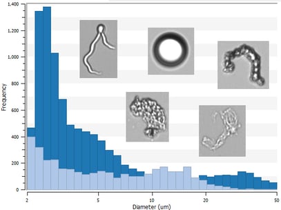 FlowCam LO data in histogram with particle images