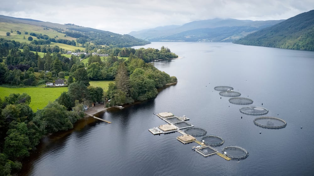 Drone photo of salmon pens at a aquaculture site in Scotland