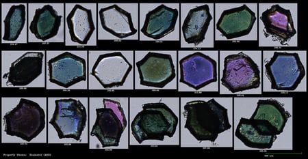 FlowCam collage of glitter particles