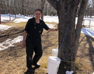 Jacklyn Nadeau collecting maple syrup