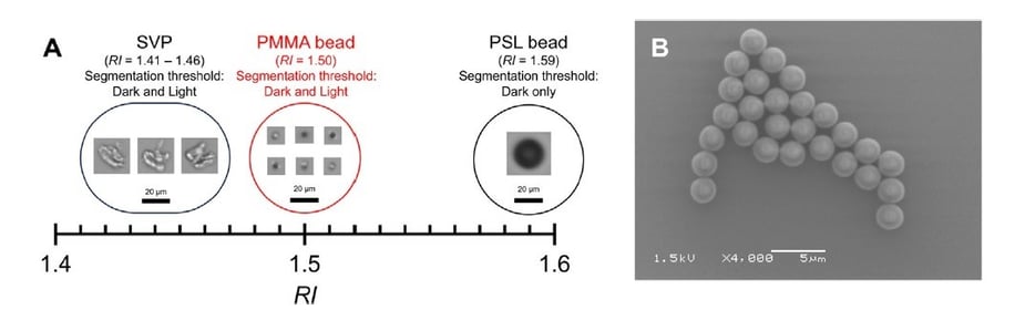 Data showing FlowCam images and microscope image