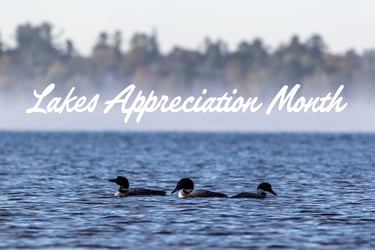 Loons on Maine lake with text reading 