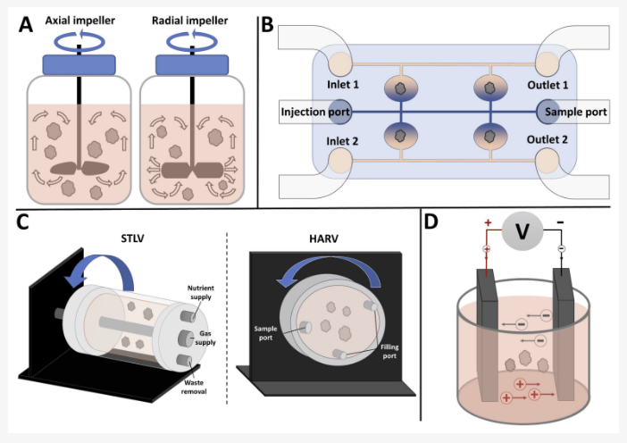 licata-et-al-figure-1-bioreactors-organoids
