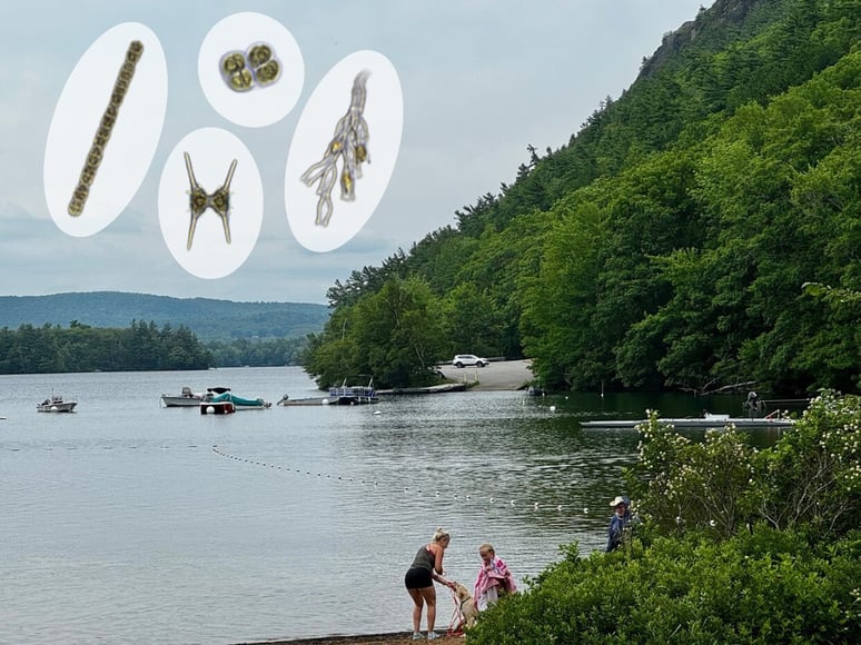 megunticook-lake-plankton-flowcam
