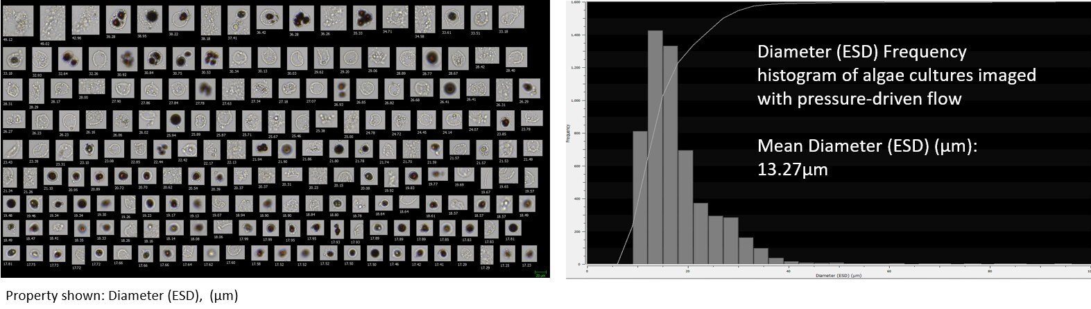 mitm-poster-fig-2