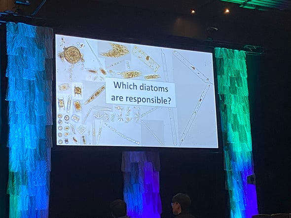Presentation screen at conference with plankton images and "which diatoms are responsible?"