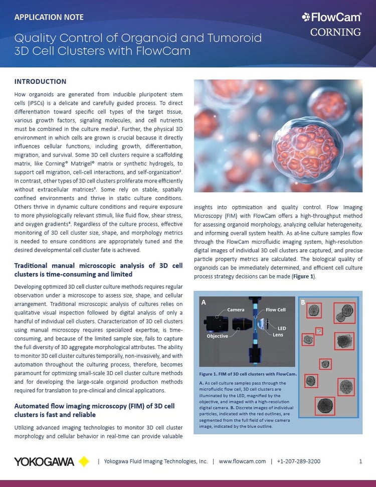 Optimizing Organoid Research with Quality Control of 3D Cell Cultures