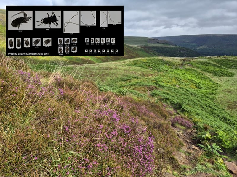 View of the park with an inset of plankton images
