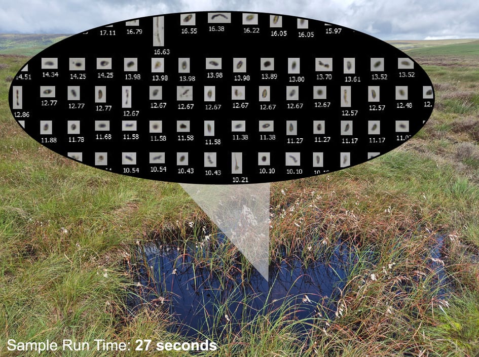 A peat bog with overlaid FlowCam images