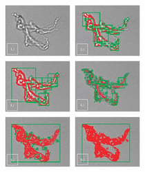 FlowCam transparent particle images showing how thresholding works