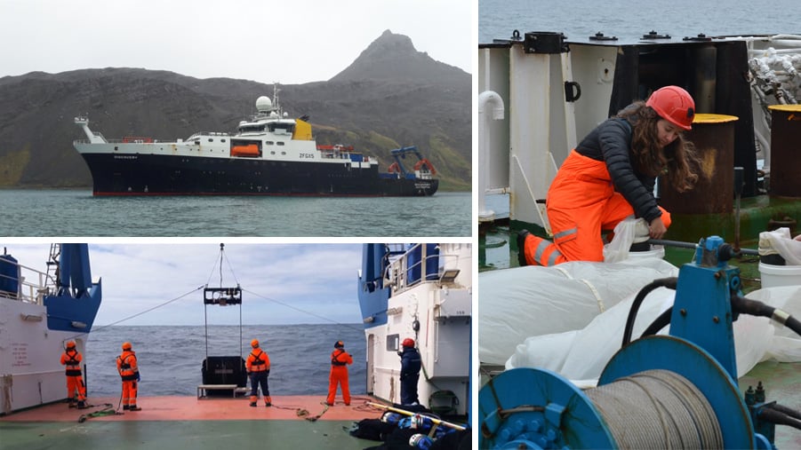 Collage of cruise photos and zooplankton collection