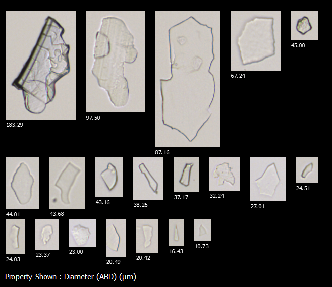 FlowCam images of particles that may have originated from heat-welding and sealing dies in single use technology fabrication