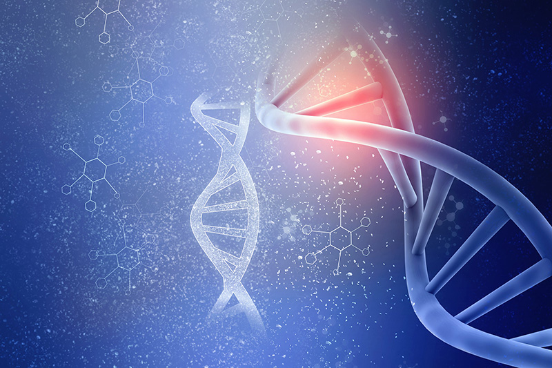 Of Particulate Importance – Flow Imaging Microscopy in Cell and Gene Therapy