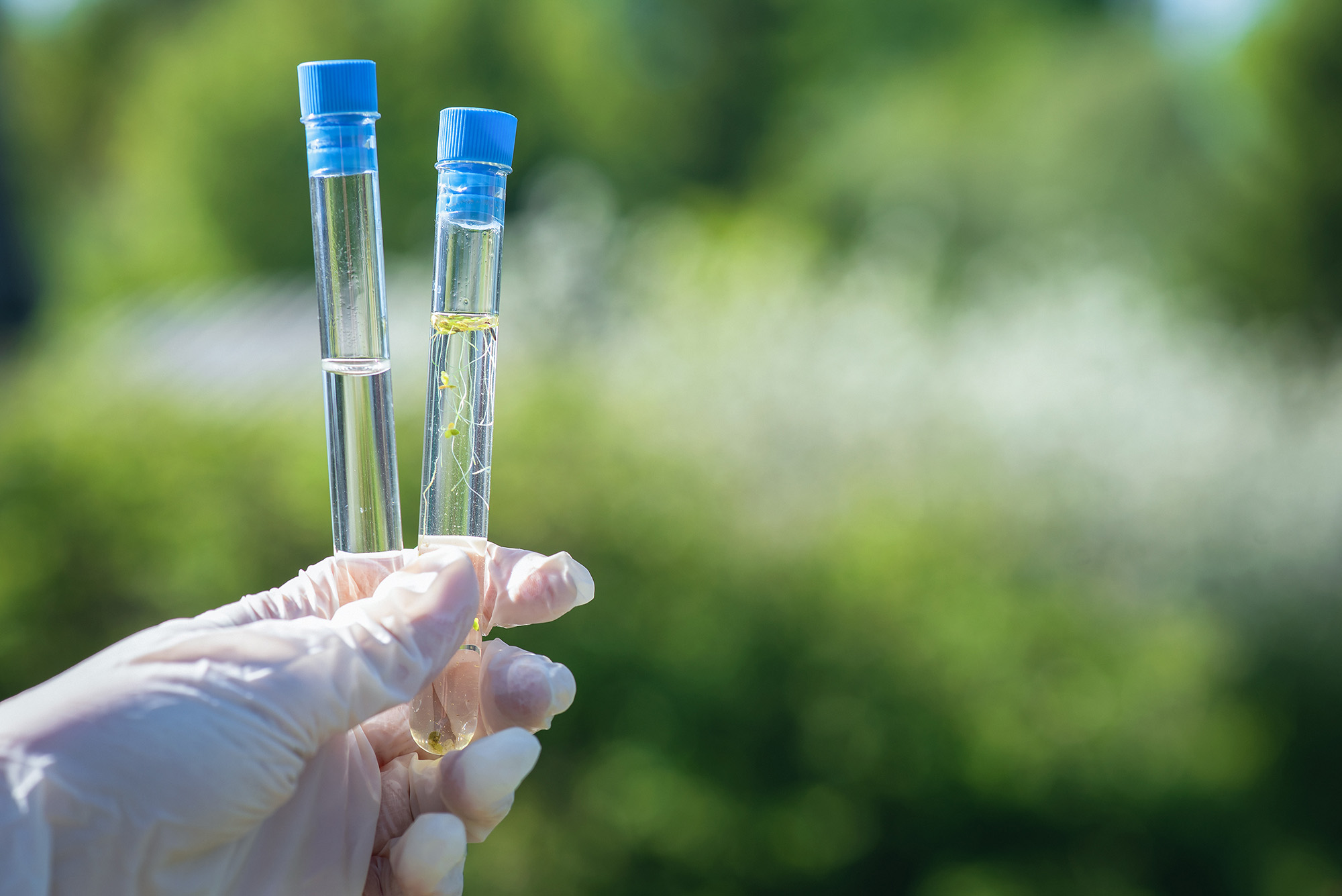 Stock photo of hand holding test tubes outside