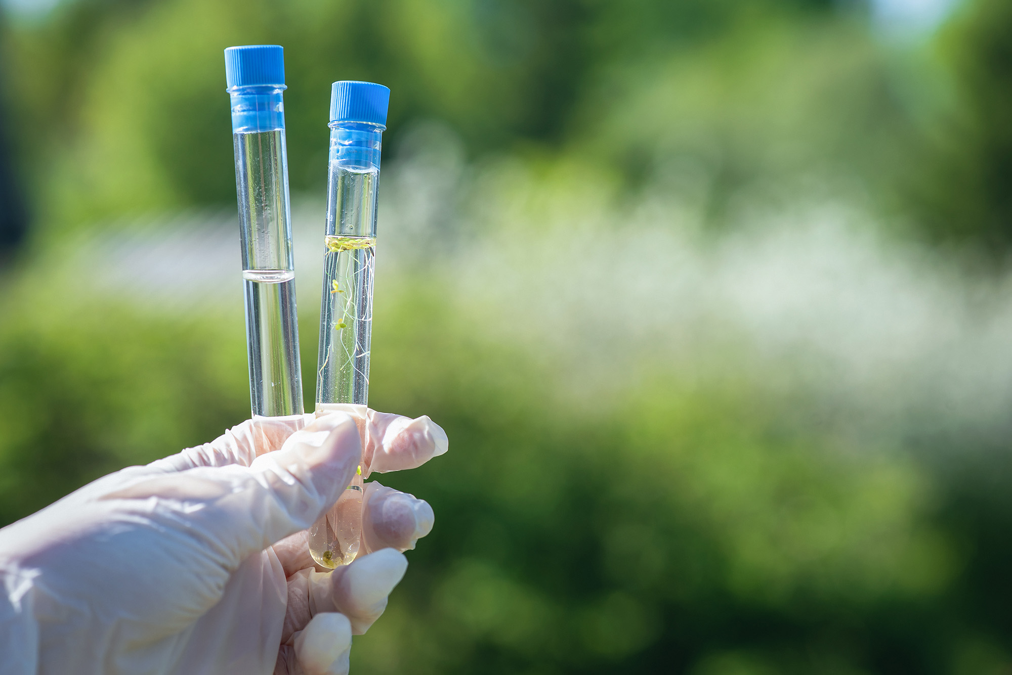Stock photo of hand holding test tubes outside